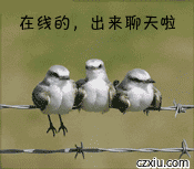 在线的，出来聊天啦